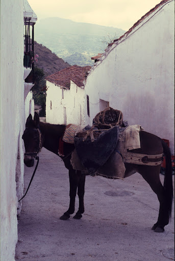 Consultorio de Atajate