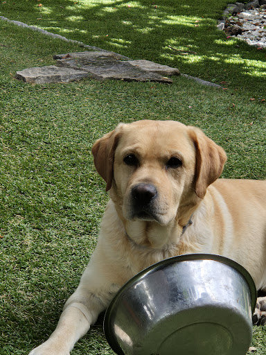 Clínica Veterinaria Becerril