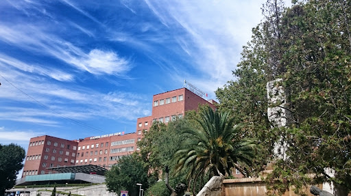 Hospital Clínico San Carlos (HCSC)